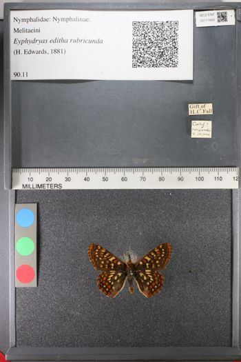 Media type: image;   Entomology 111805